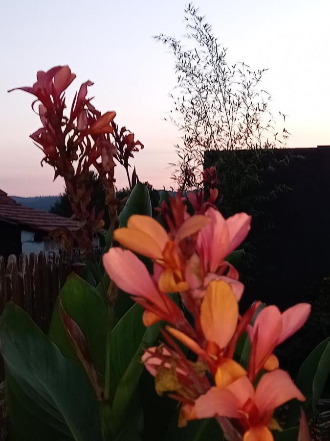 Skriveni Raj Guest House Gornji Milanovac Bagian luar foto
