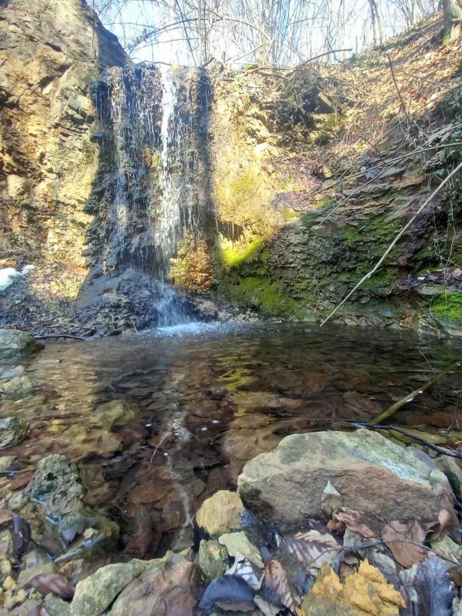 Skriveni Raj Guest House Gornji Milanovac Bagian luar foto